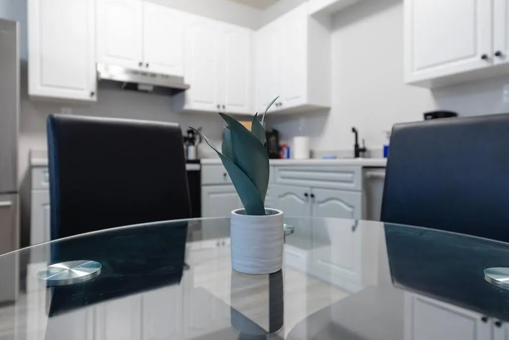 Apartment Cozy & Central 2Br Suite With Optional Parking Near Vanderbilt, Gulch & Honky Tonk Highway Nashville
